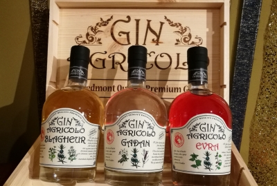 gin-agricolo
