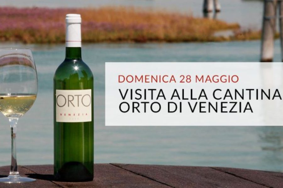 28 maggio – Visita alla Cantina Orto di Venezia