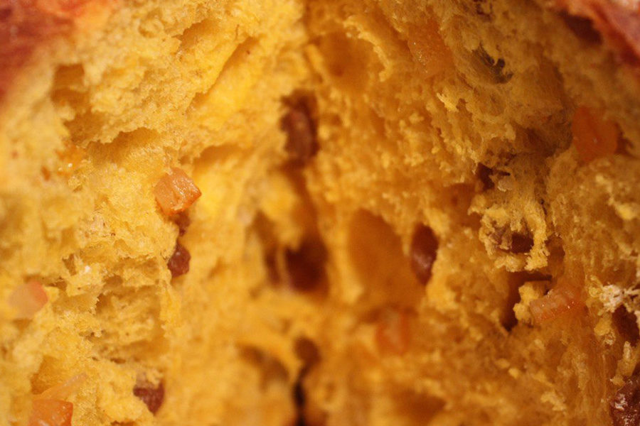 Panettone…che passione!