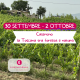 Wine Tour “Casentino: la Toscana tra foresta e natura”