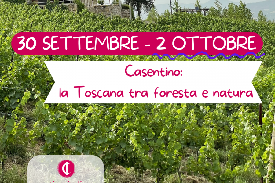 Wine Tour “Casentino: la Toscana tra foresta e natura”